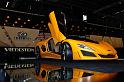 geneva_20100304_102617_yellow_vredstein