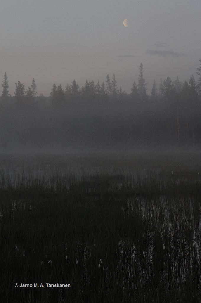 usvainen_ramelampi_puolikuu_tummayo_lappi_20090715_002115.jpg