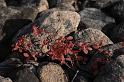 lappland_20090911_114420