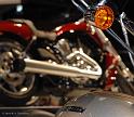 mp2009_20090201_133020